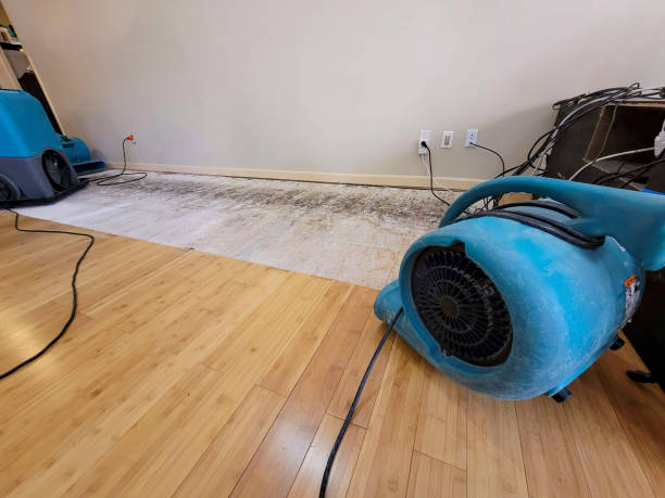 Professional Ceiling Water Damage Repair technician working in Chancellor, SD