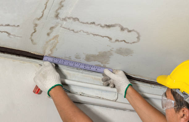 Affordable Ceiling Water Damage Repair solutions in Chancellor, SD